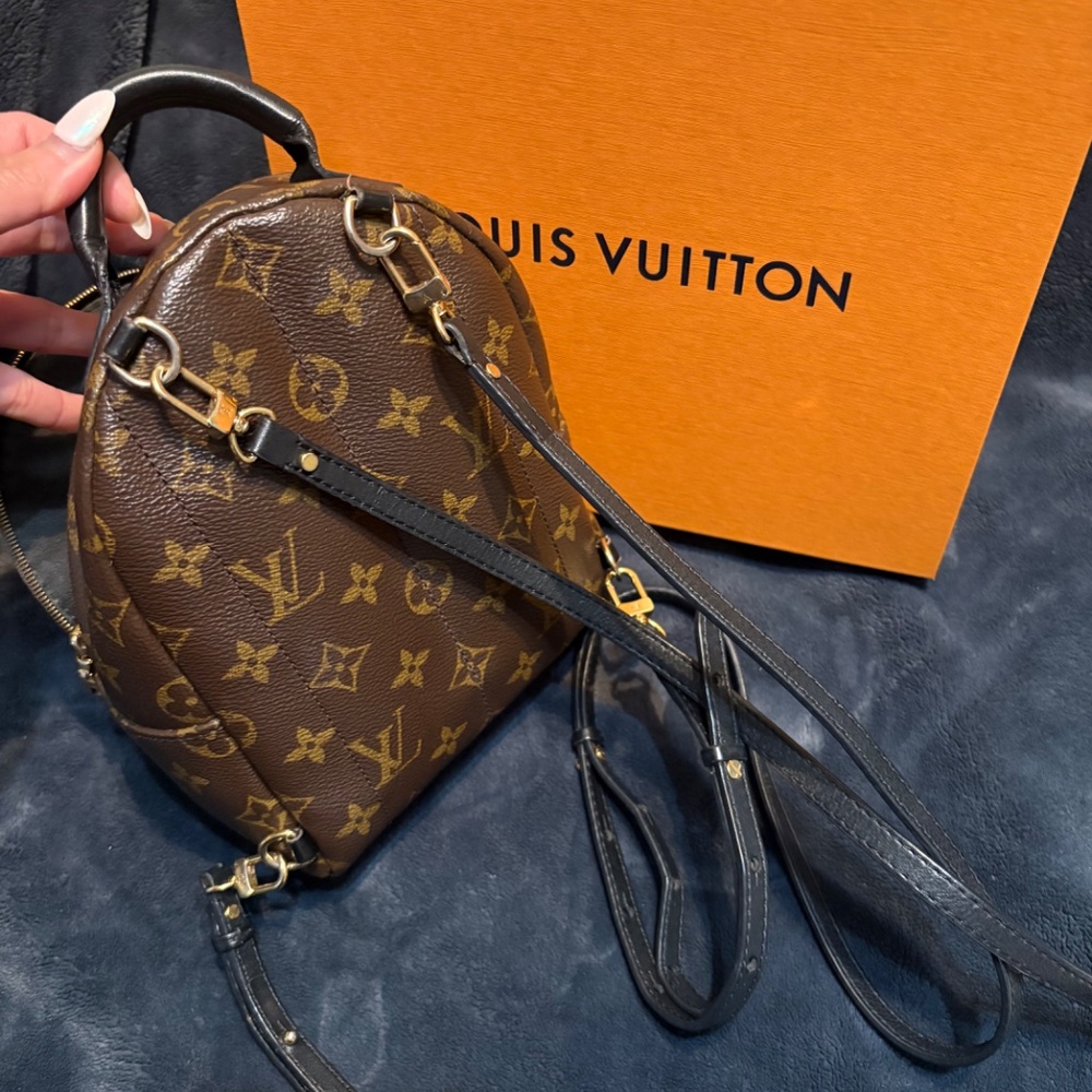 Louis Vuitton backpack - Picture 2 of 3